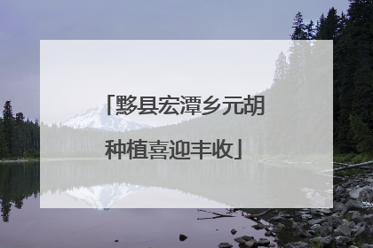 黟县宏潭乡元胡种植喜迎丰收