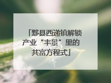 黟县西递镇解锁产业“丰景”里的共富方程式