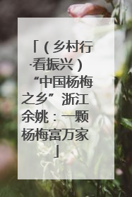 （乡村行·看振兴）“中国杨梅之乡”浙江余姚：一颗杨梅富万家