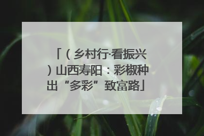 （乡村行·看振兴）山西寿阳：彩椒种出“多彩”致富路