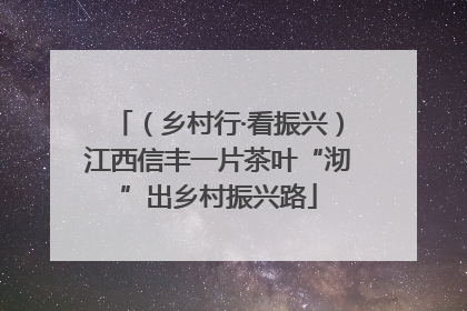 （乡村行·看振兴）江西信丰一片茶叶“沏”出乡村振兴路