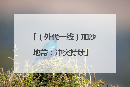 （外代一线）加沙地带：冲突持续