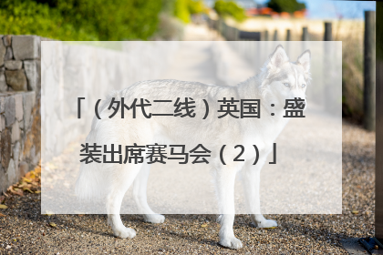 （外代二线）英国：盛装出席赛马会（2）