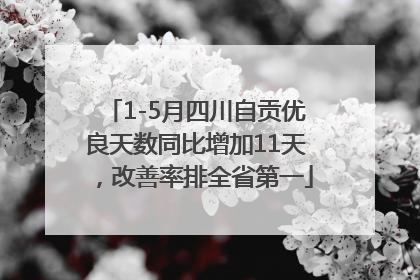 1-5月四川自贡优良天数同比增加11天，改善率排全省第一
