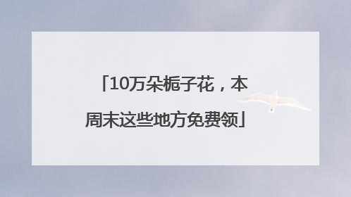 10万朵栀子花，本周末这些地方免费领