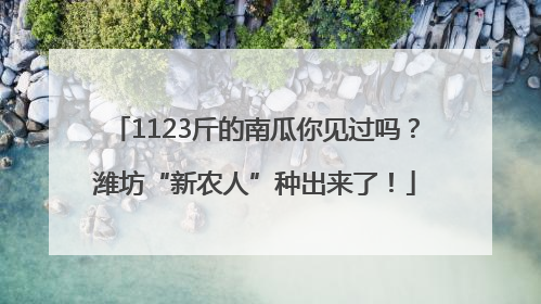 1123斤的南瓜你见过吗？潍坊“新农人”种出来了！