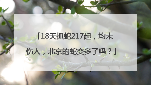 18天抓蛇217起，均未伤人，北京的蛇变多了吗？