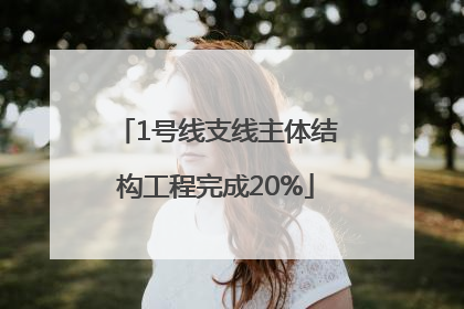 1号线支线主体结构工程完成20%