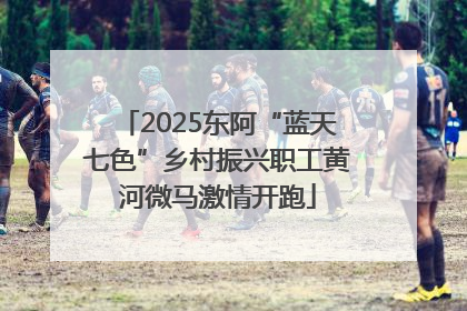 2025东阿“蓝天七色”乡村振兴职工黄河微马激情开跑