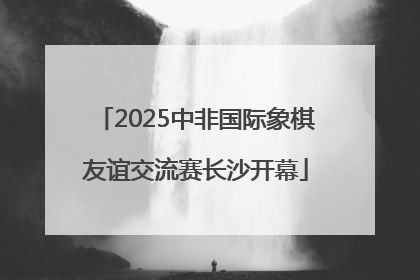2025中非国际象棋友谊交流赛长沙开幕