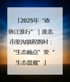 2025年“政协江淮行”｜淮北市渠沟镇程阁村：“生态痛点”变“生态景观”