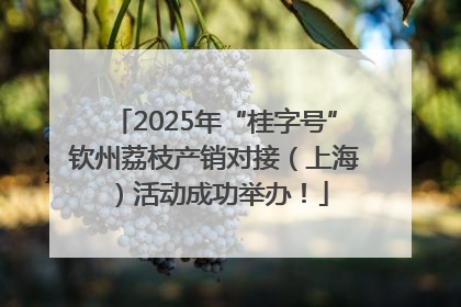 2025年“桂字号”钦州荔枝产销对接（上海）活动成功举办！