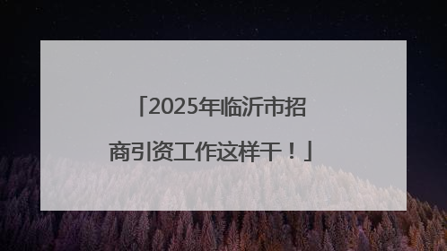 2025年临沂市招商引资工作这样干！