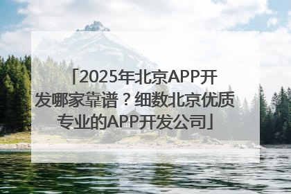 2025年北京APP开发哪家靠谱？细数北京优质专业的APP开发公司