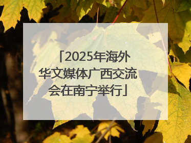 2025年海外华文媒体广西交流会在南宁举行