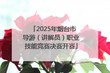2025年烟台市导游（讲解员）职业技能竞赛决赛开赛