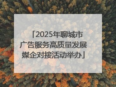 2025年聊城市广告服务高质量发展媒企对接活动举办