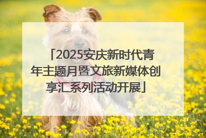 2025安庆新时代青年主题月暨文旅新媒体创享汇系列活动开展