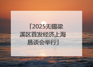2025无锡梁溪区首发经济上海恳谈会举行