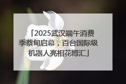2025武汉端午消费季蔡甸启幕，百台国际级机器人亮相花博汇