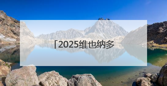 2025维也纳多瑙河龙舟赛举行