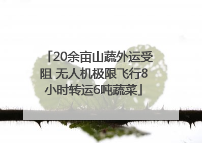 20余亩山蔬外运受阻 无人机极限飞行8小时转运6吨蔬菜