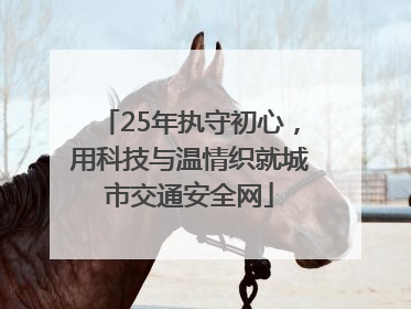 25年执守初心，用科技与温情织就城市交通安全网