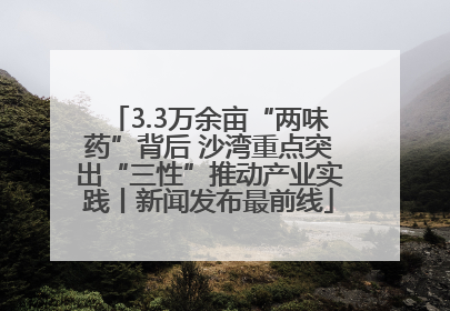 3.3万余亩“两味药”背后 沙湾重点突出“三性”推动产业实践丨新闻发布最前线