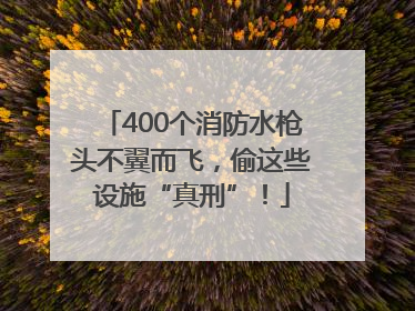 400个消防水枪头不翼而飞，偷这些设施“真刑”！