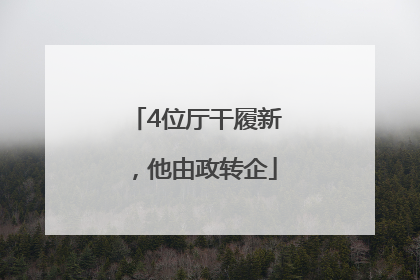 4位厅干履新，他由政转企