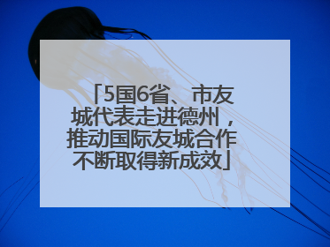 5国6省、市友城代表走进德州，推动国际友城合作不断取得新成效