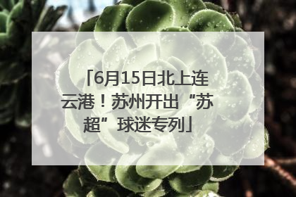 6月15日北上连云港！苏州开出“苏超”球迷专列