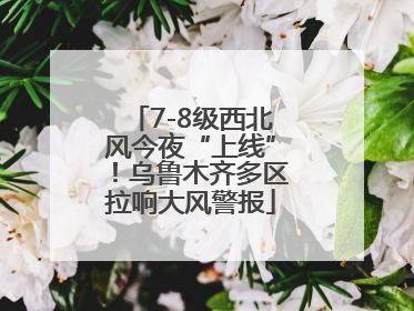 7-8级西北风今夜“上线”！乌鲁木齐多区拉响大风警报