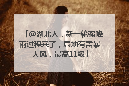 @湖北人：新一轮强降雨过程来了，局地有雷暴大风，最高11级