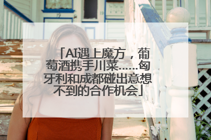 AI遇上魔方，葡萄酒携手川菜……匈牙利和成都碰出意想不到的合作机会