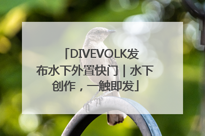 DIVEVOLK发布水下外置快门｜水下创作，一触即发