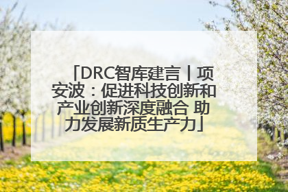 DRC智库建言丨项安波：促进科技创新和产业创新深度融合 助力发展新质生产力